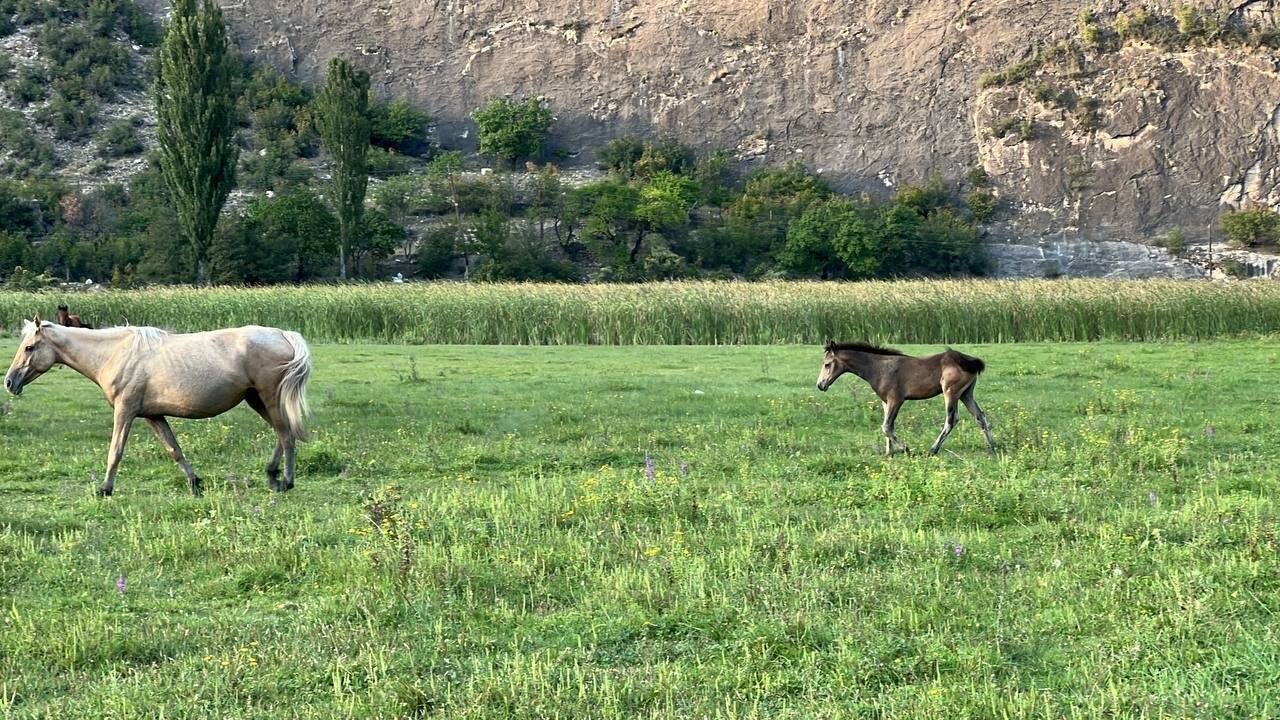 Фото Межгорье
