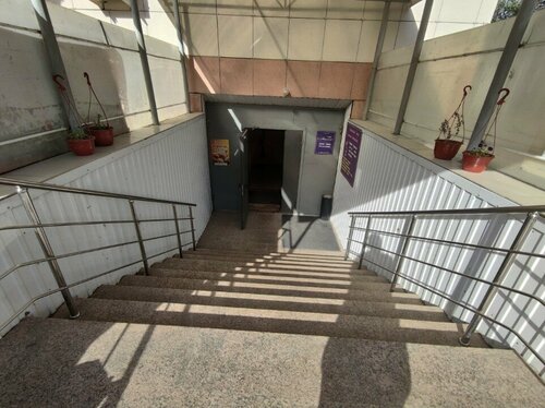 Курск жыныстық қатынас