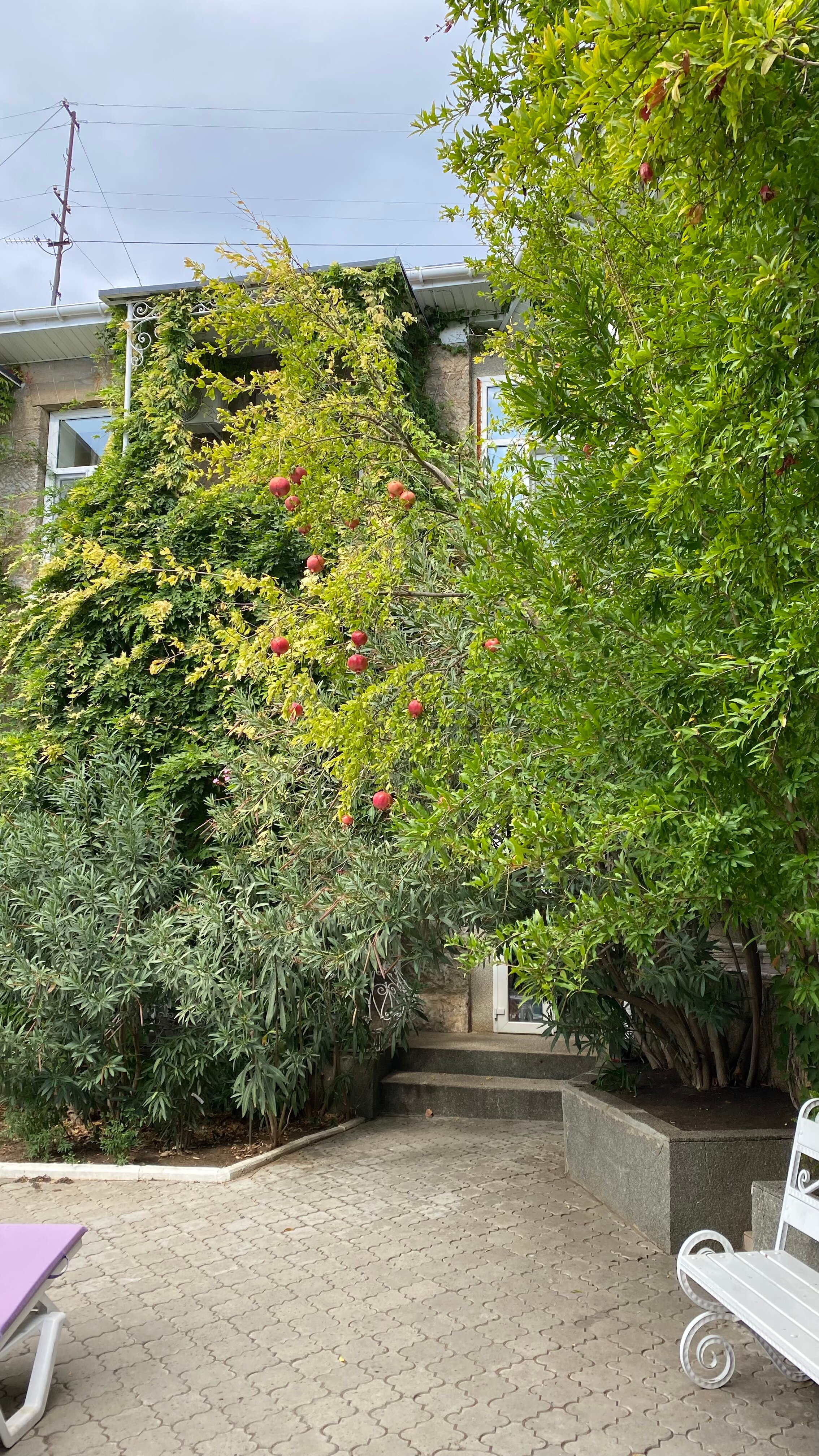 Фото Вилла Мария Хитрово