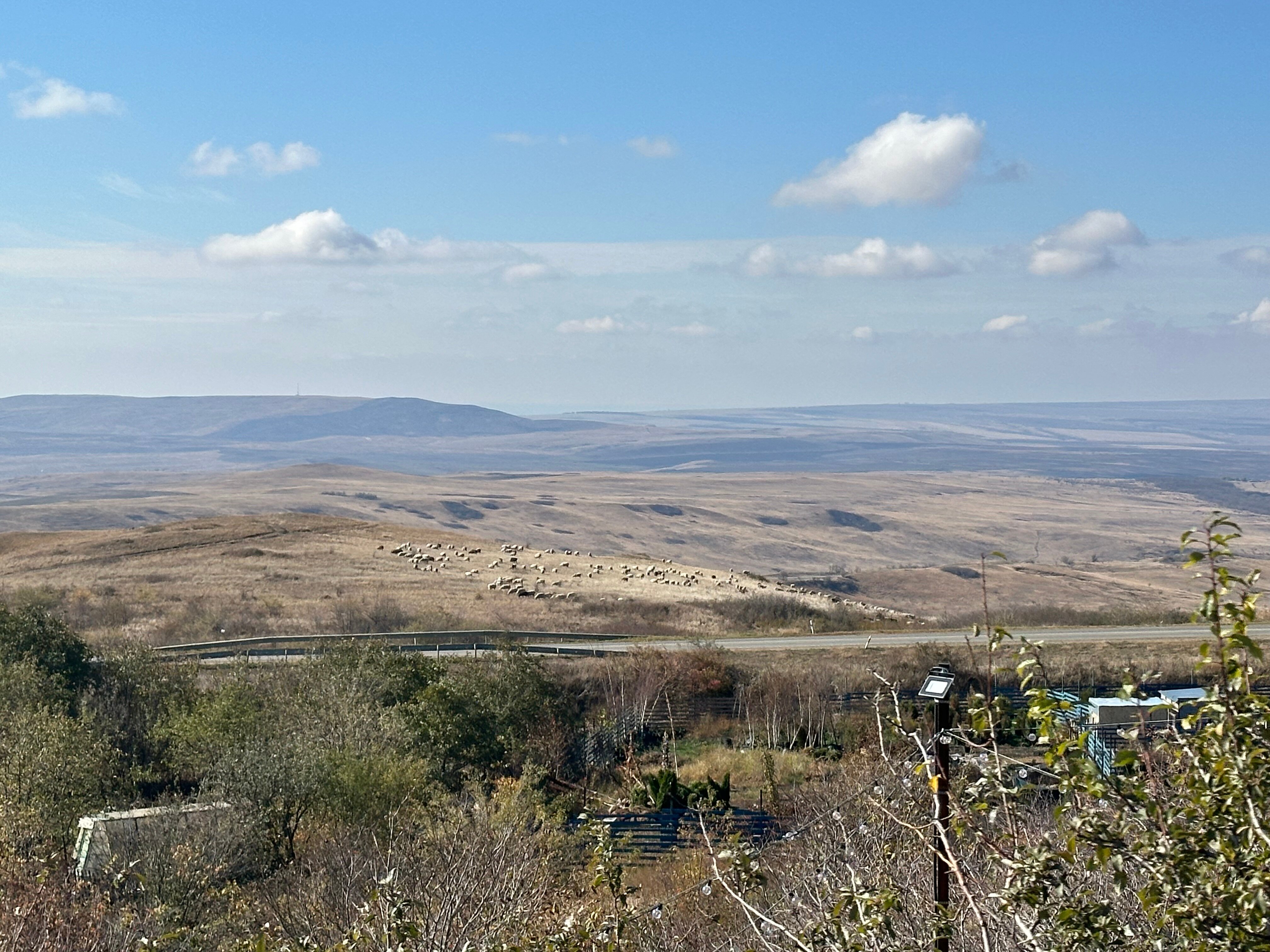 Фото Эко-пространство на заре