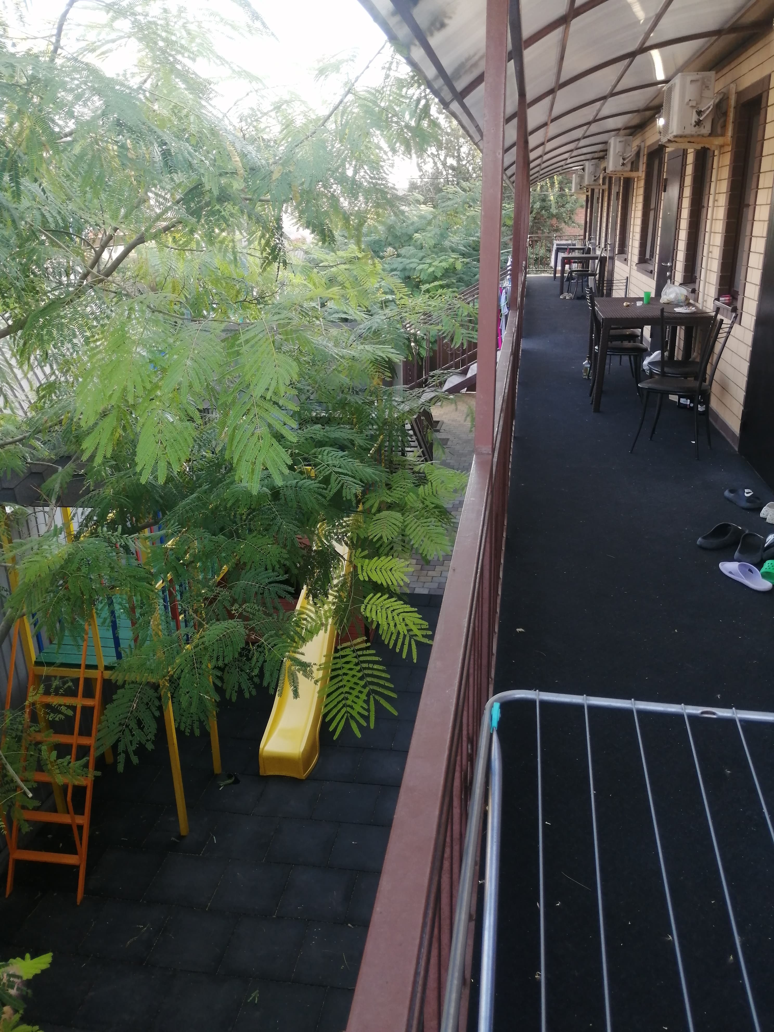 Фото Мандарин