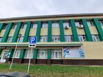 АНО ДПО имени М. Г. Гареева (Village of Verkhneyarkeyevo, Krasnoarmeyskaya Street, 37), driving school