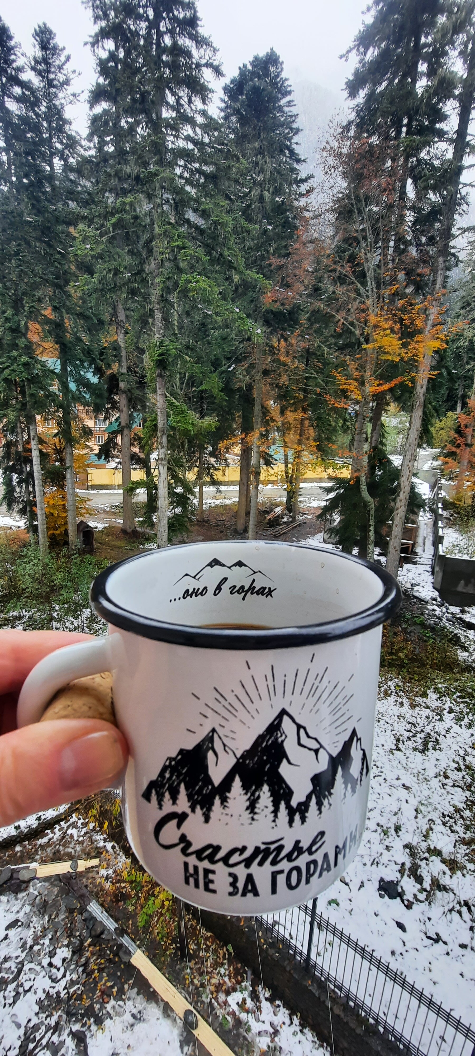 Фото Снежный Барс