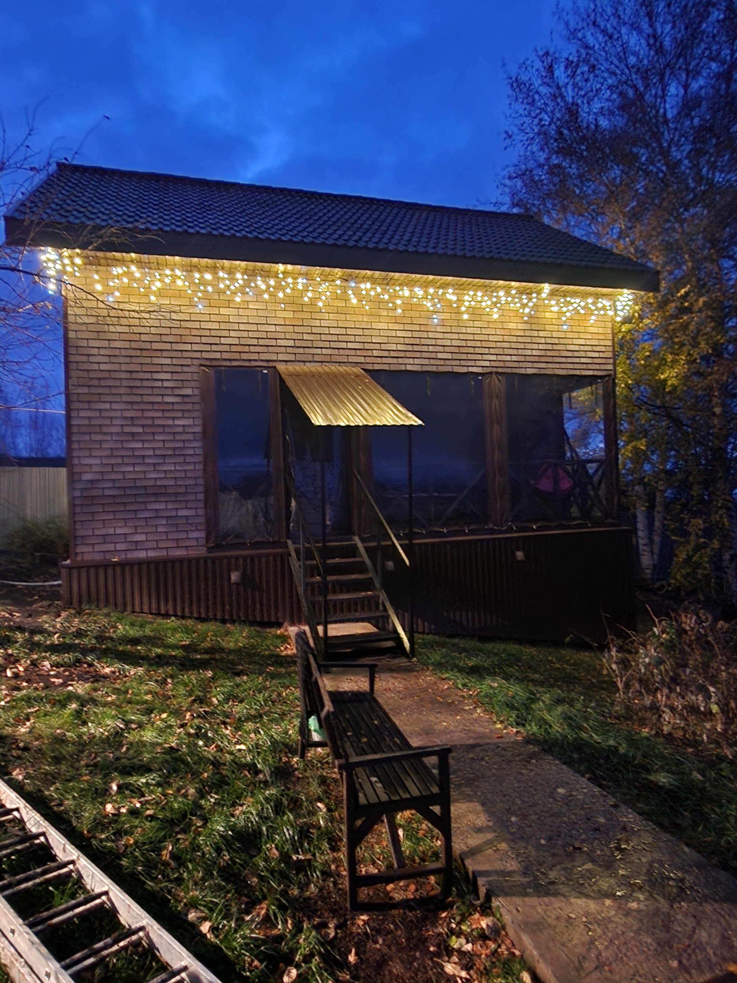 Фото Берёзка Кандрыкуль