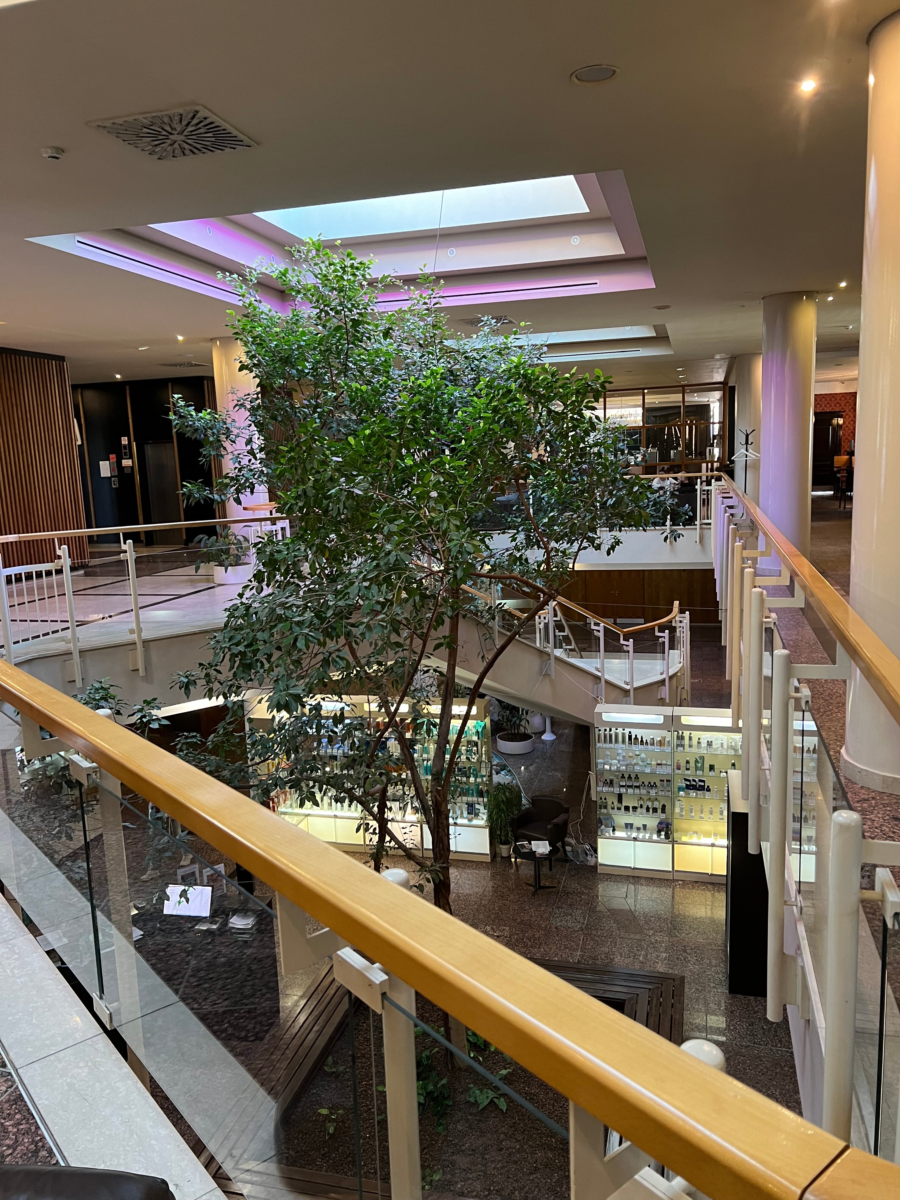 Фото Береста Парк