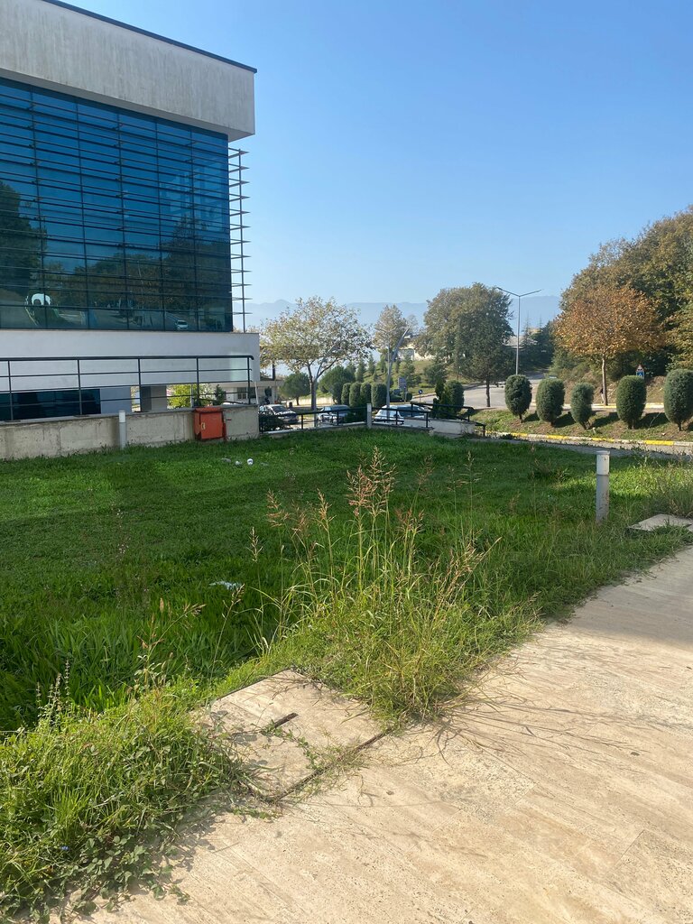 Software companies Finanstech, Serdivan, photo