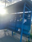 Холмогоровка (Kaliningrad Region, 27A-032), public transport stop
