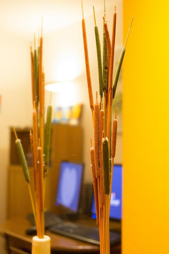 Фото Europe Hotel Vieux Port