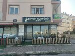 Bayan Kuaförü by Esra Muratpaşa (Antalya, Muratpaşa, İbni Sina Cad., 63B) ، مصففو الشعر
