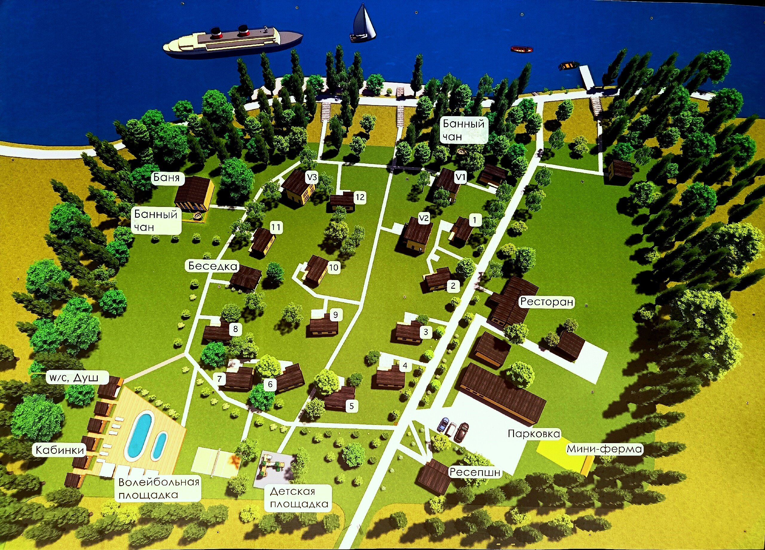 Фото Тополя