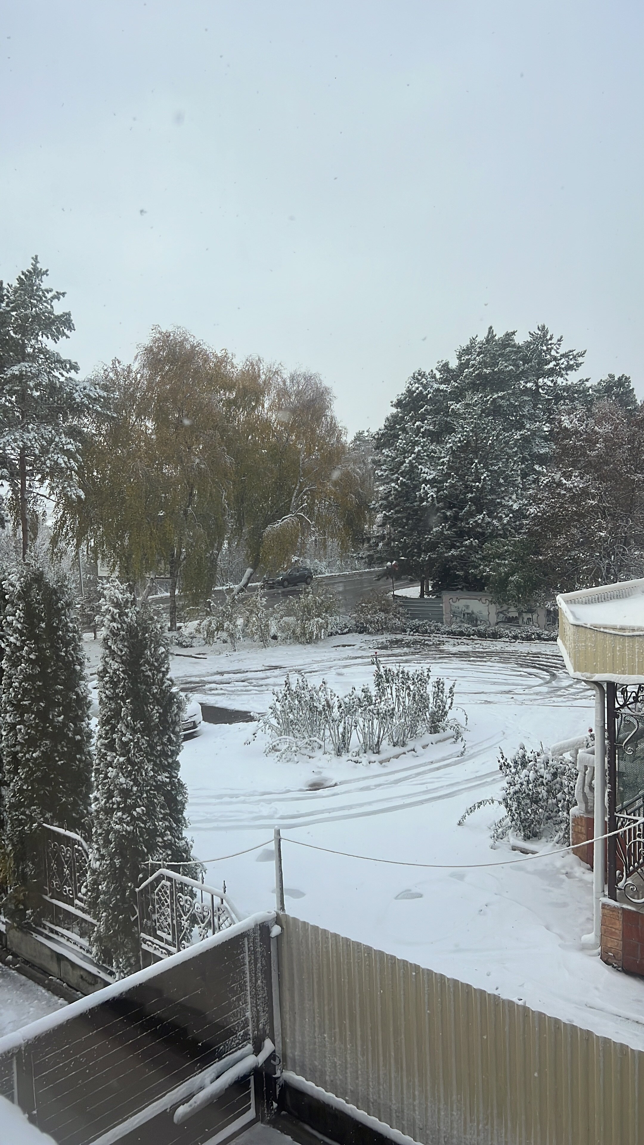 Фото Родина