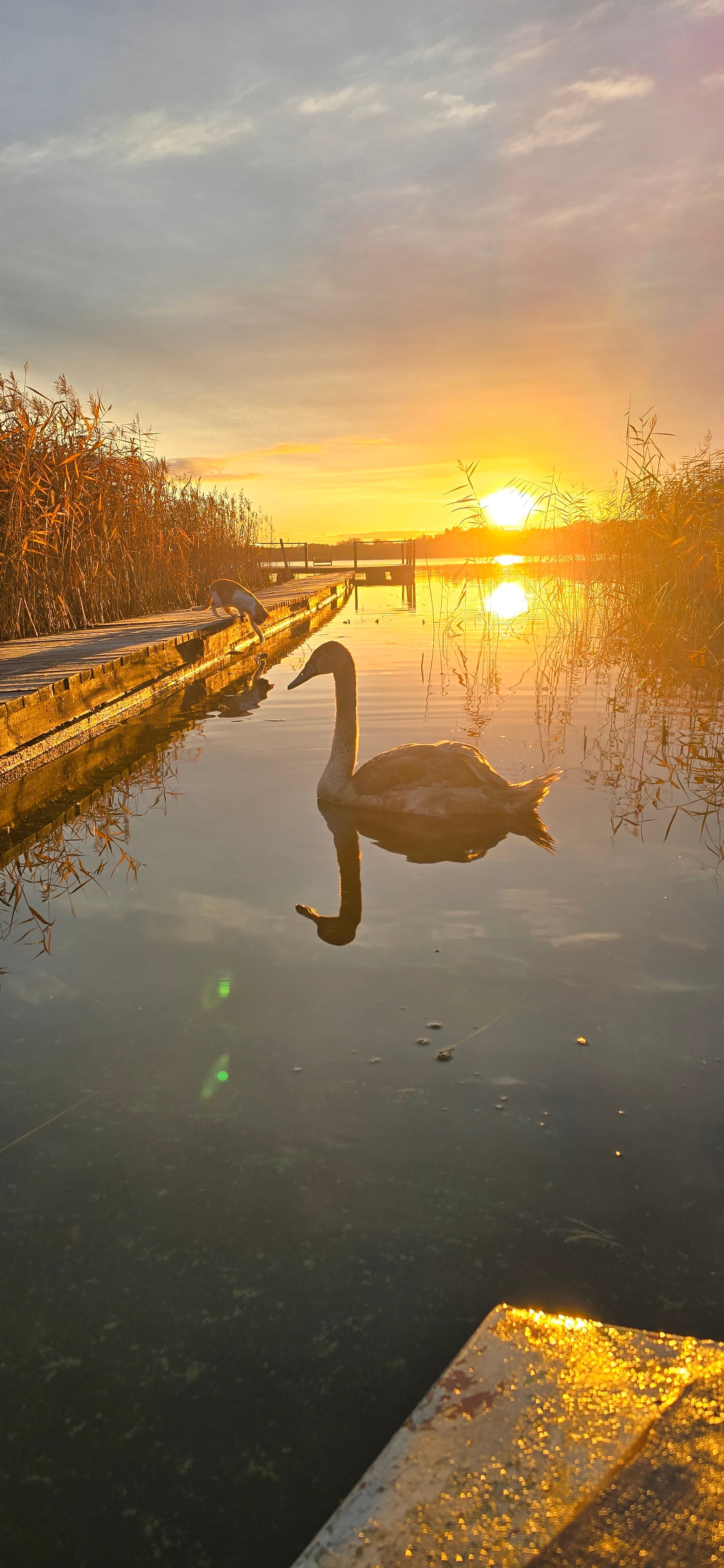 Фото Угоринка-3