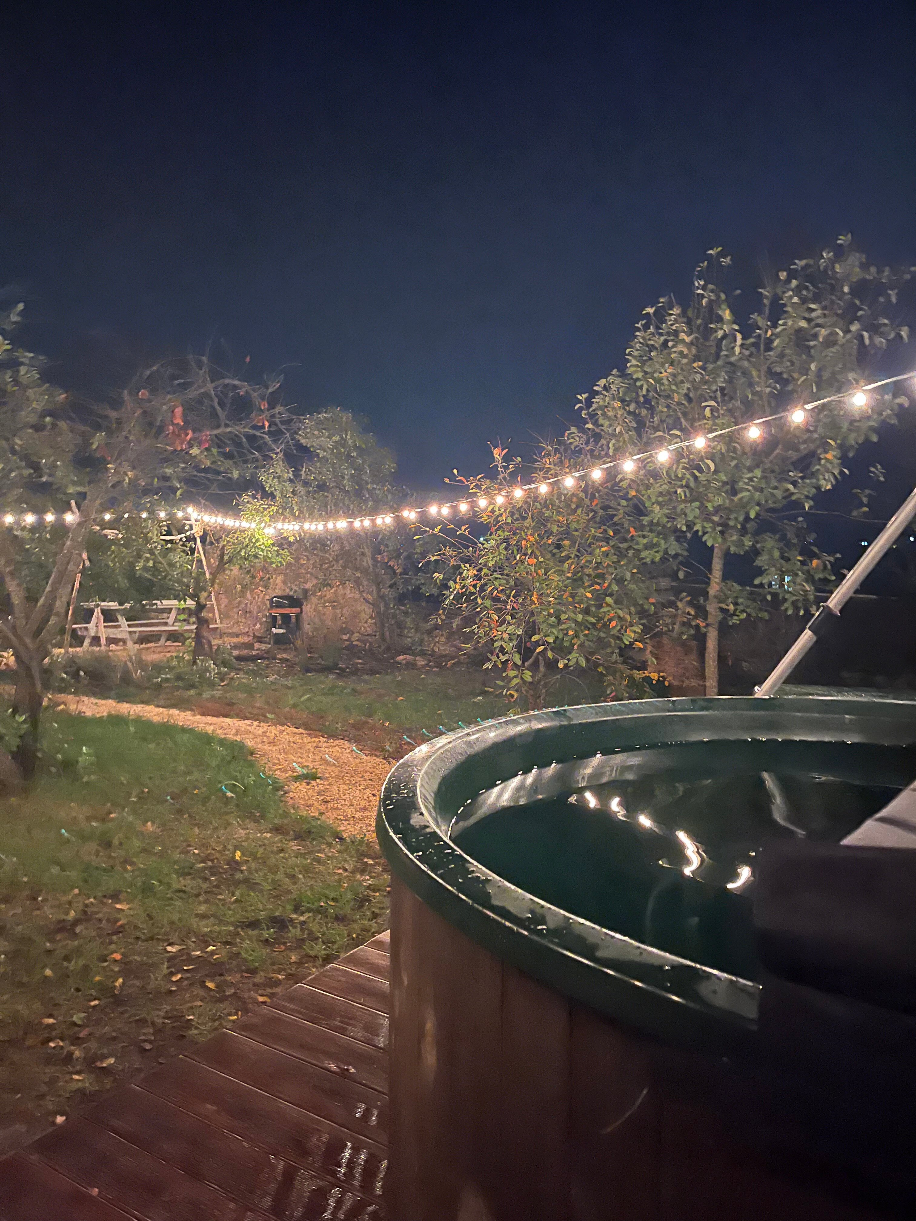 Фото Галки дом