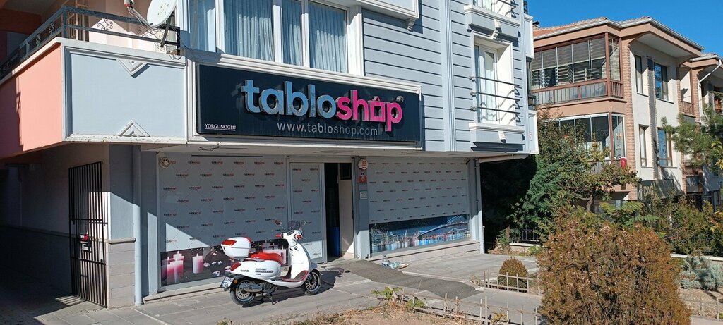 Artificial plants and flowers TabloSHOP Resim ve Cerceve, Ankara, photo