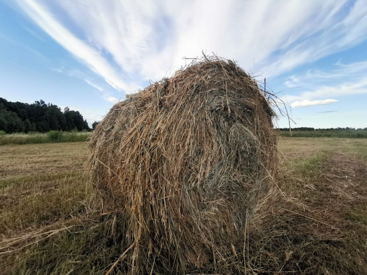 Фото Усадьба Косолапово