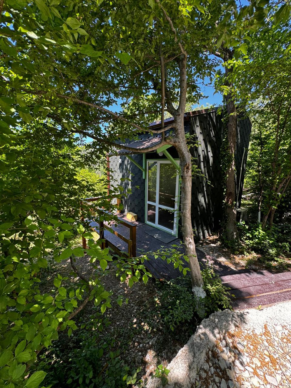 Фото Бегом к нам