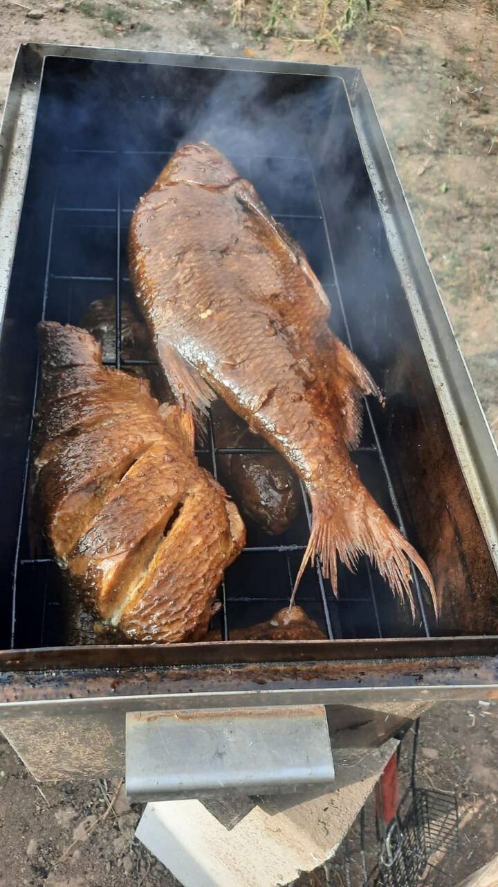 Фото Дыхание Волги