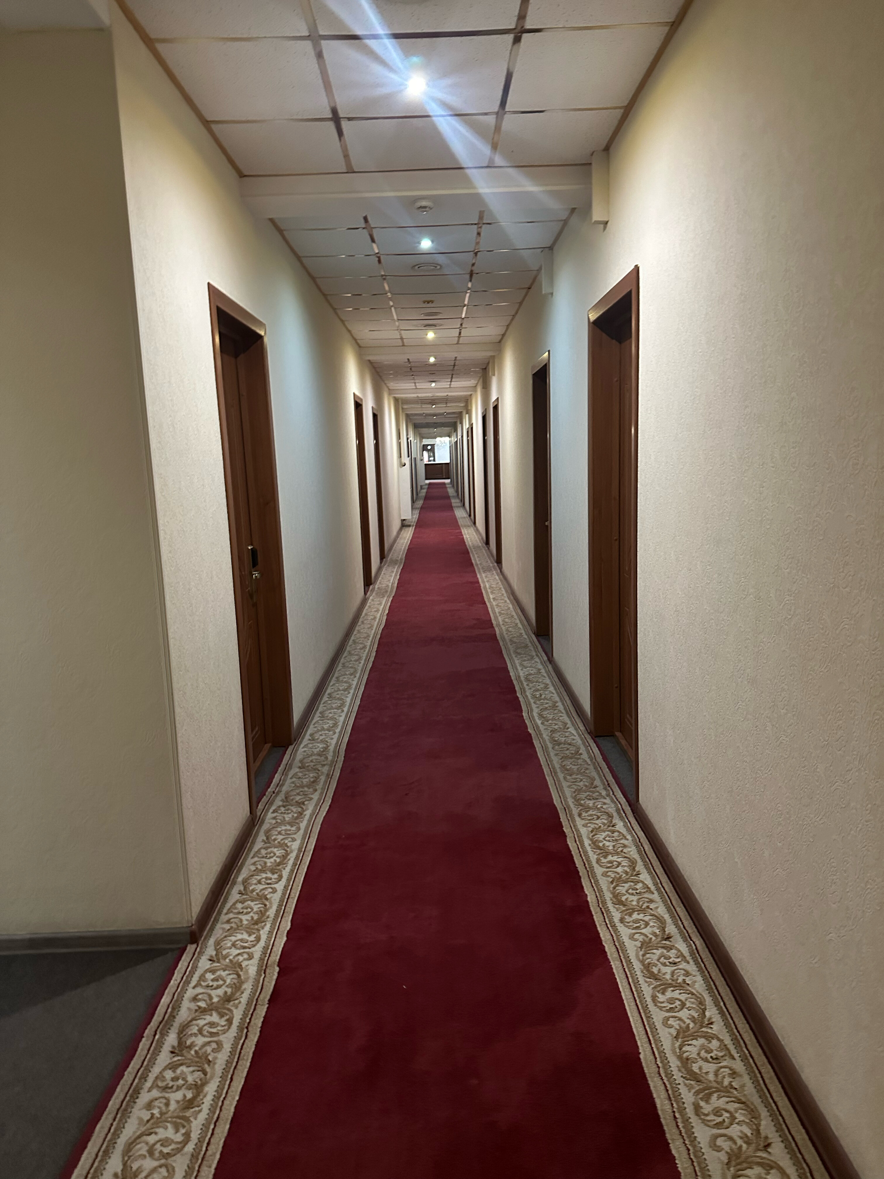 Фото Алекс Холл