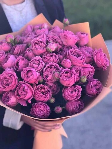 Sariq qizlar rasmlar