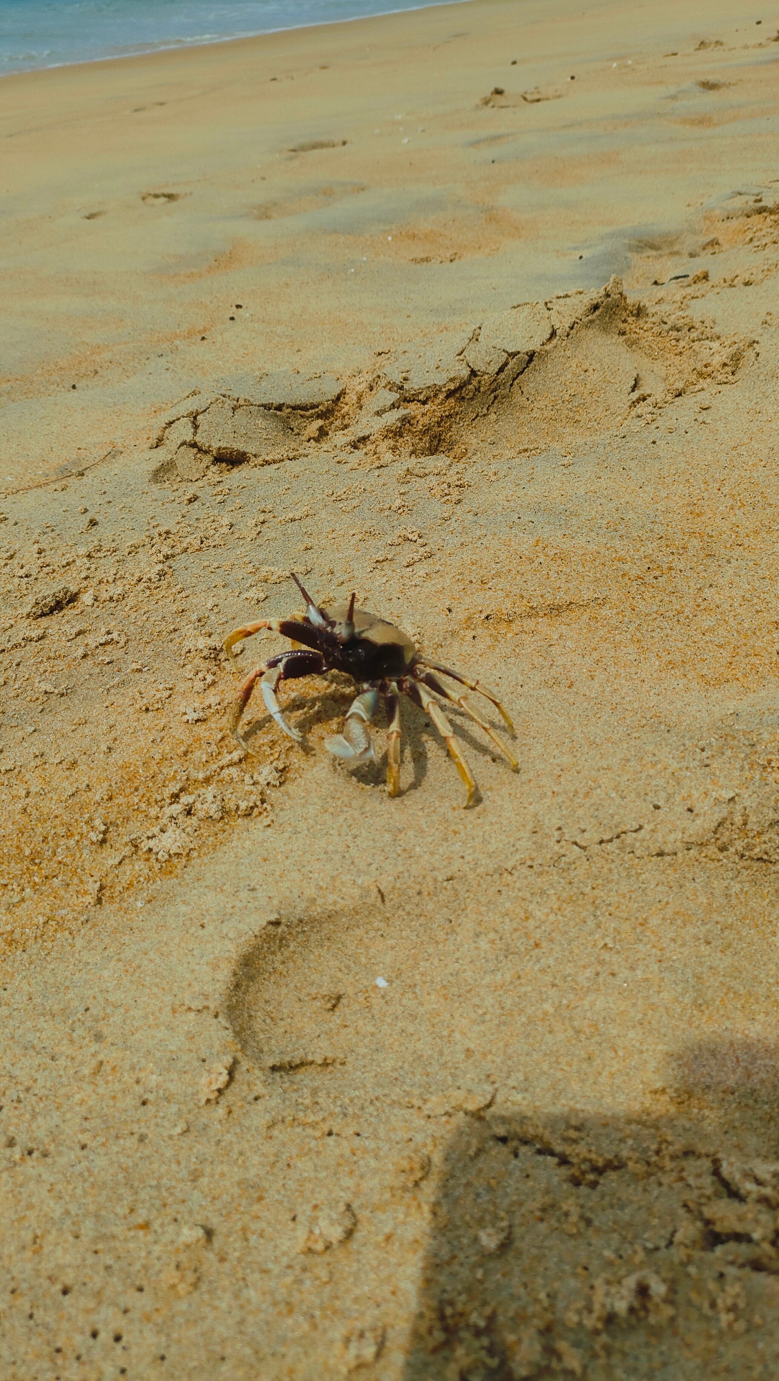 Фото Holiday Inn Resort Phuket Mai Khao Beach