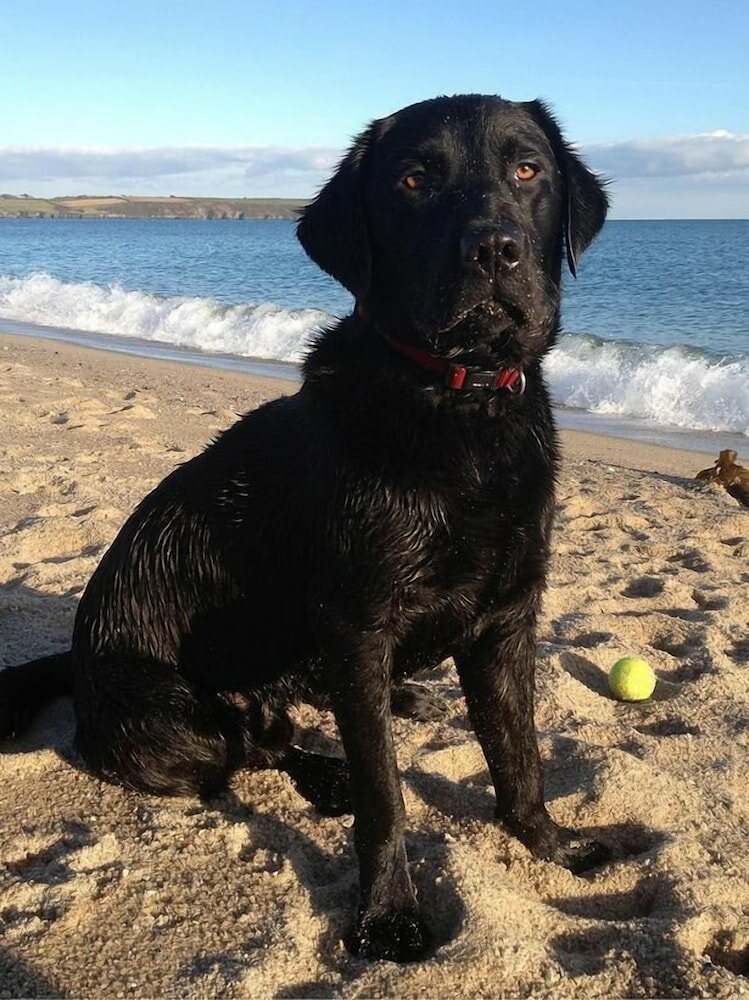 Фото The Waterwheel Inn