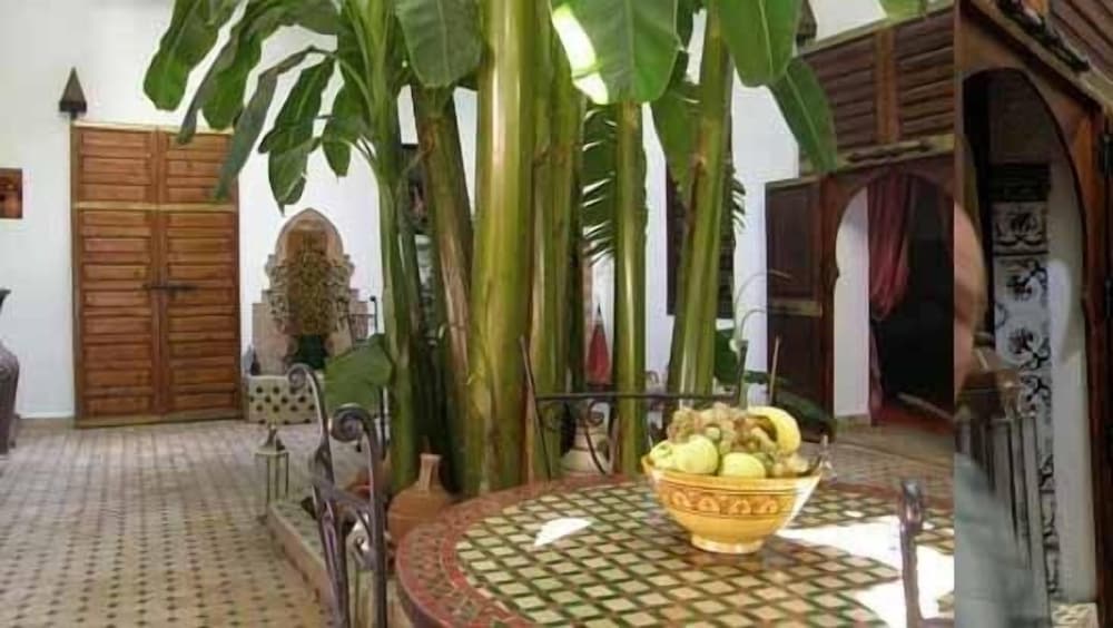 Фото Riad Mehdia