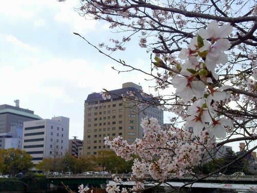 Гостиница HOTEL MYSTAYS Hiroshima Peace Park в Хиросиме