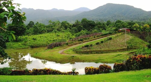 Гостиница La Anita Rainforest Ranch