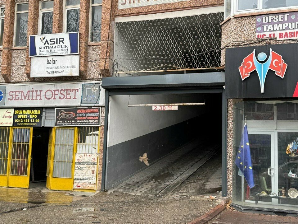 Printing services Lova Invitation Ankara Invitation Printing Invitation Models Order Delivery Cargo, Ankara, photo