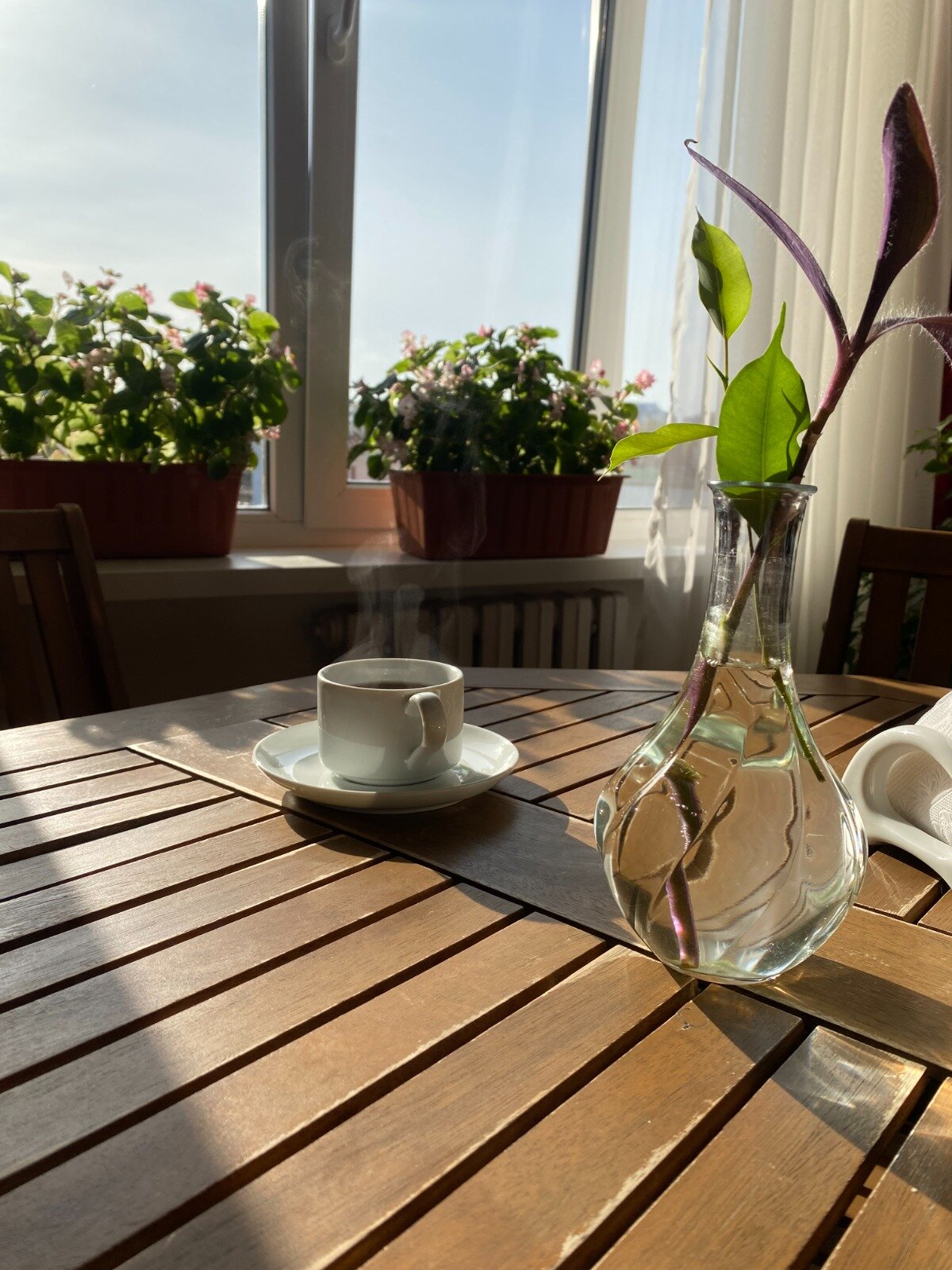 Фото Гармония