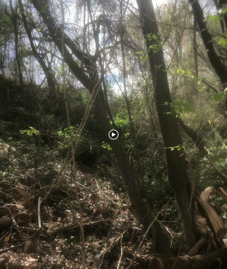 Cadastral works Geotaş Harita Mühendislik, Tasova, photo