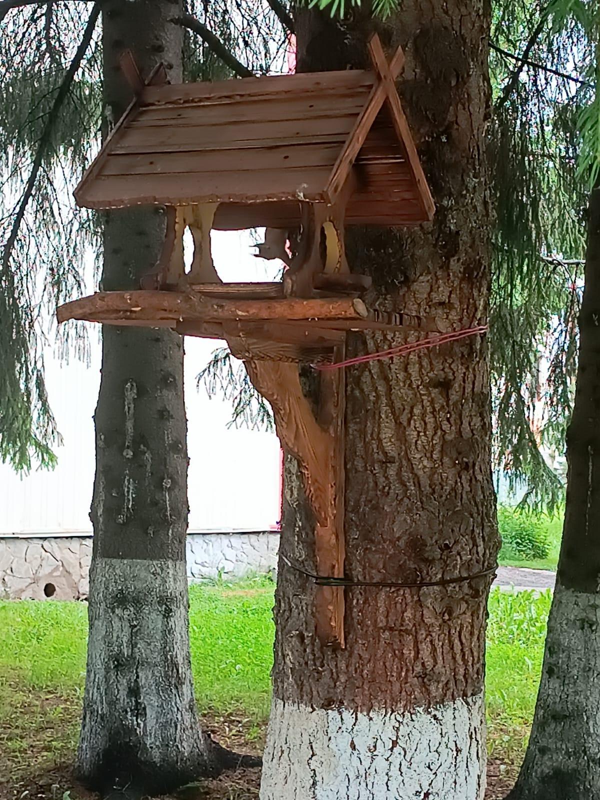 Фото Фантазия