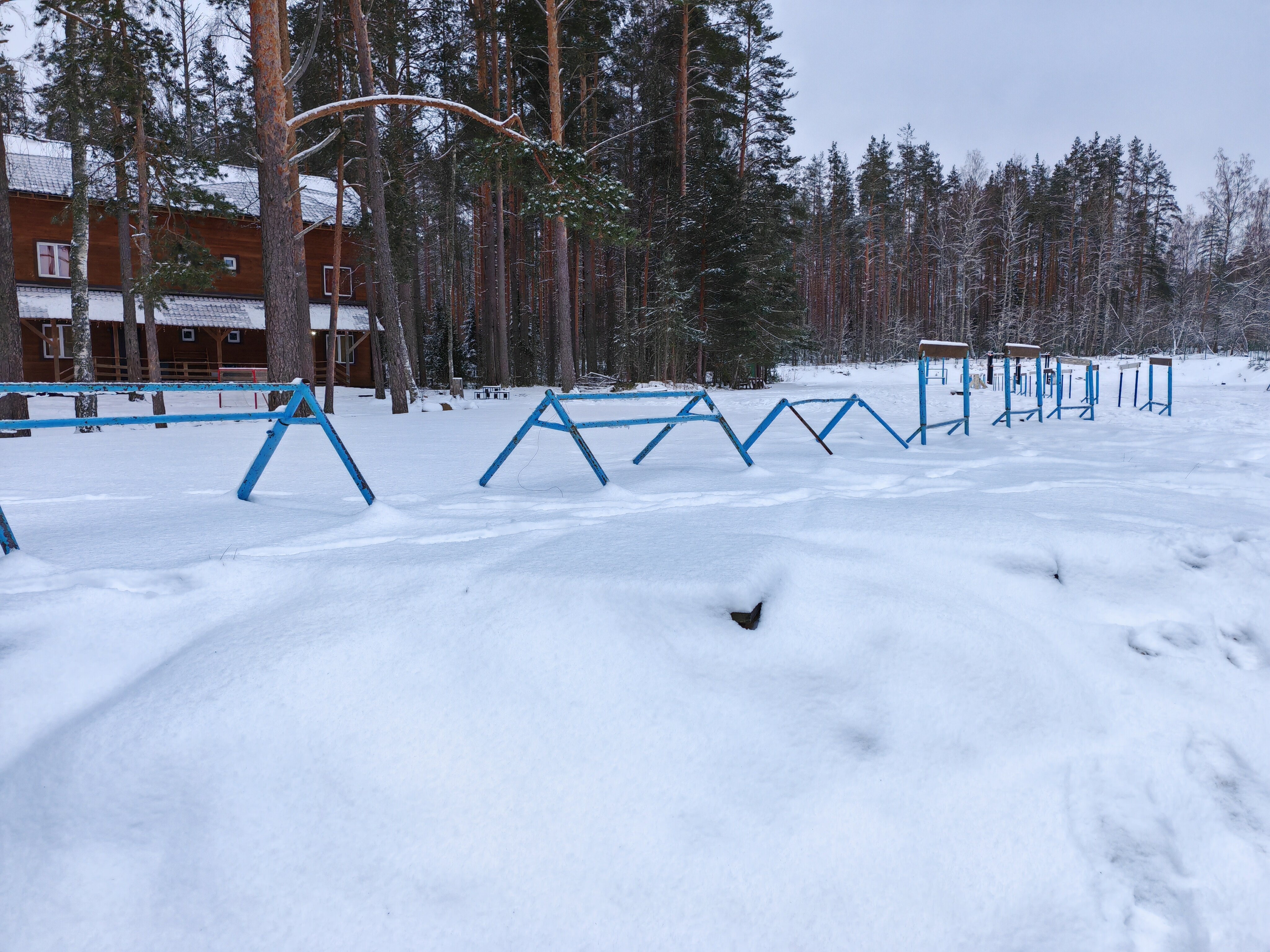 Фото Спартак