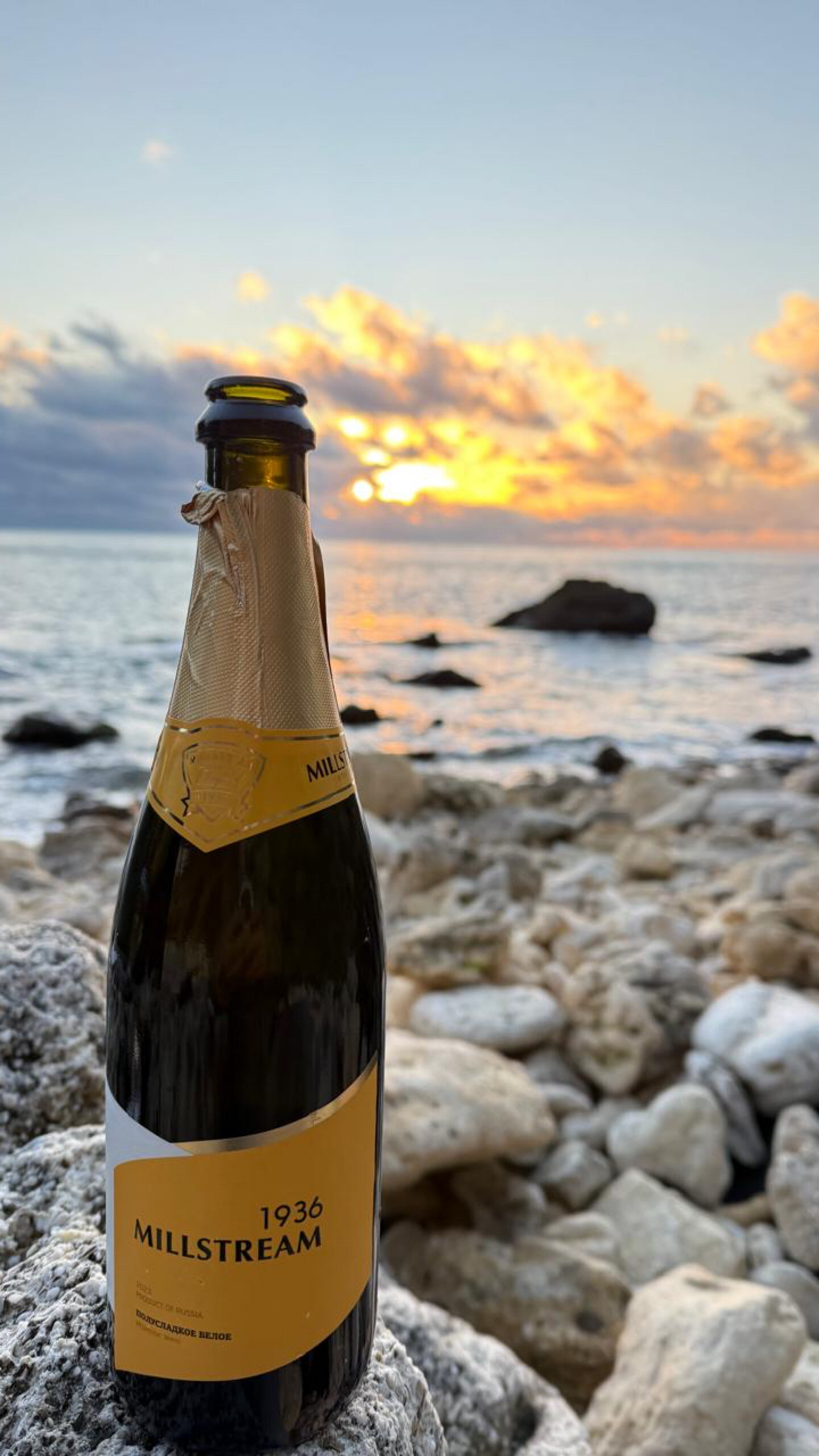 Фото Каравелла