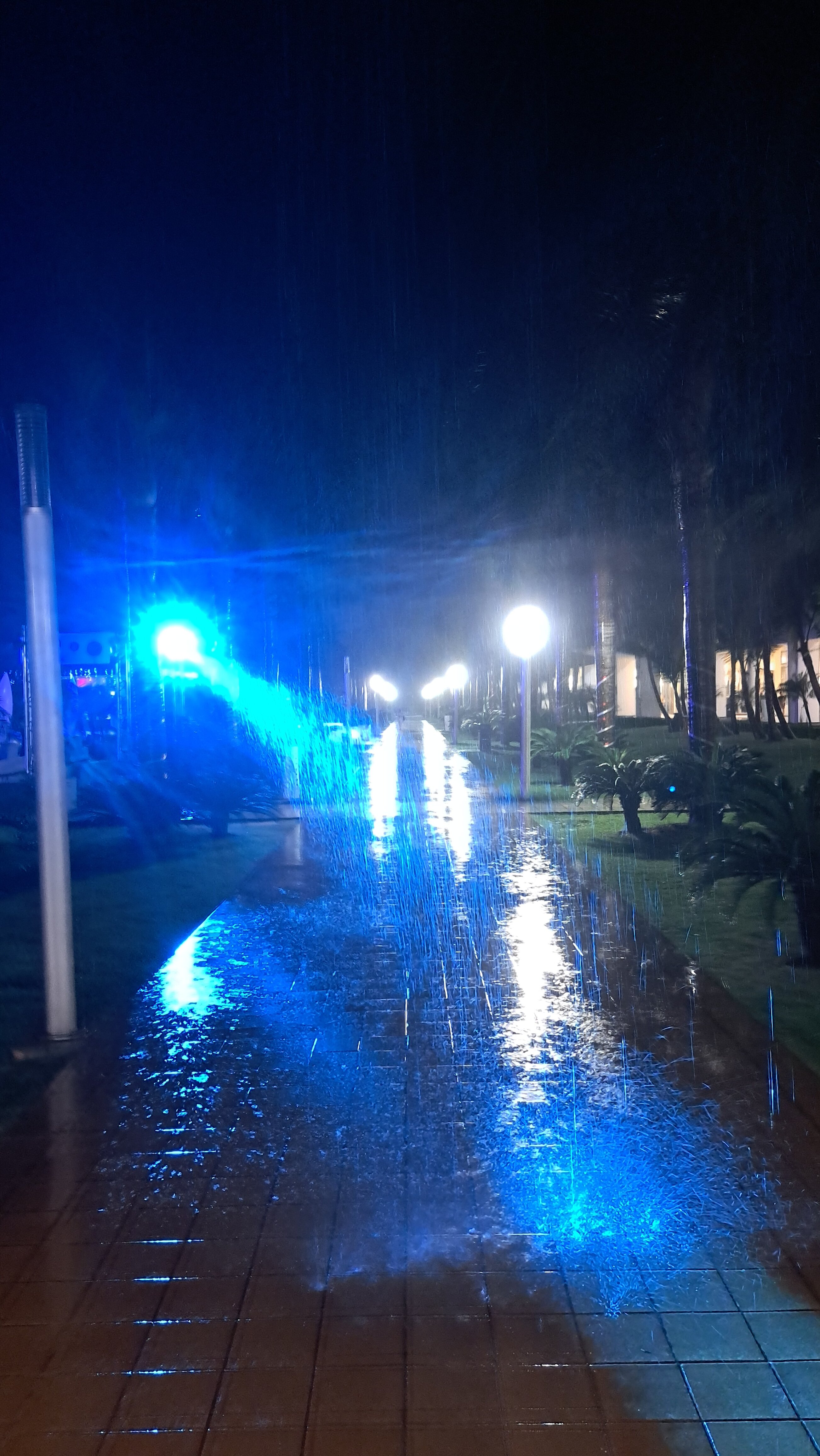 Фото Riu Republica - Adults only - All Inclusive