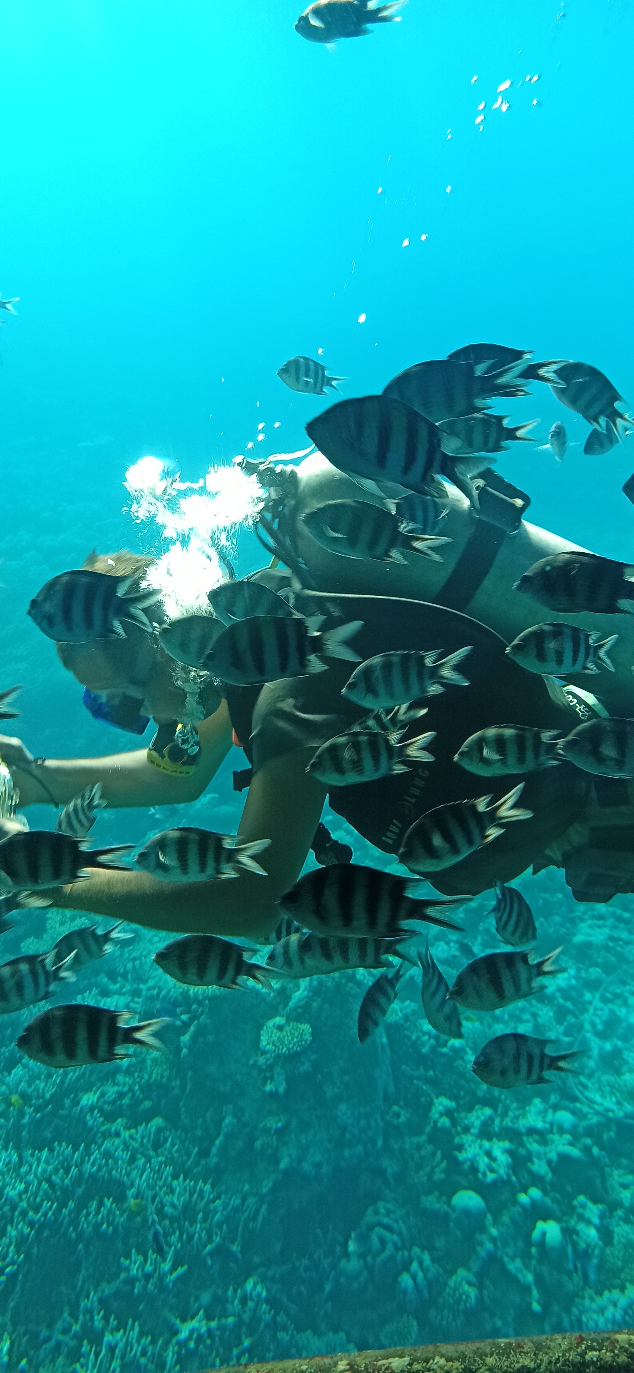 Фото Bella Vista Resort