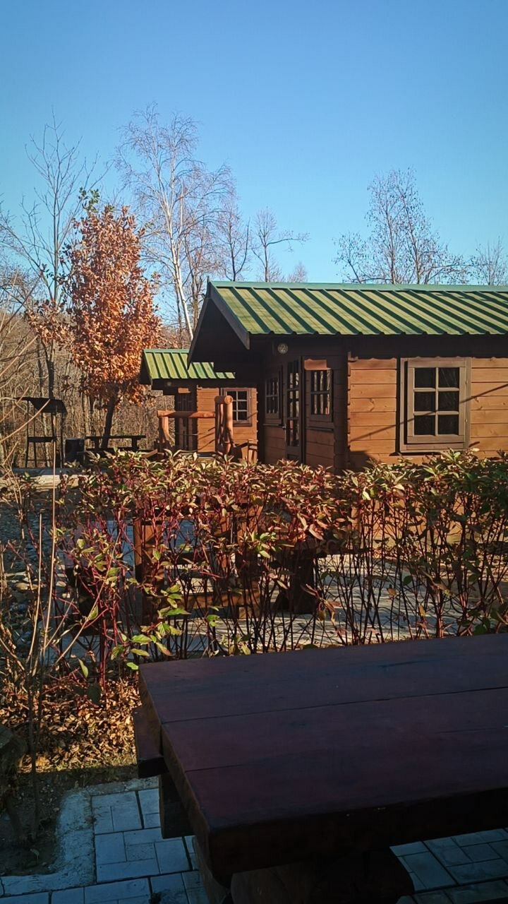 Фото Лесное озеро