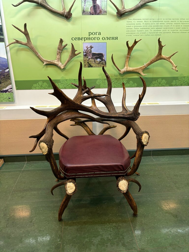 Cafe Кузнецкий Алатау, Kemerovo Oblast, photo