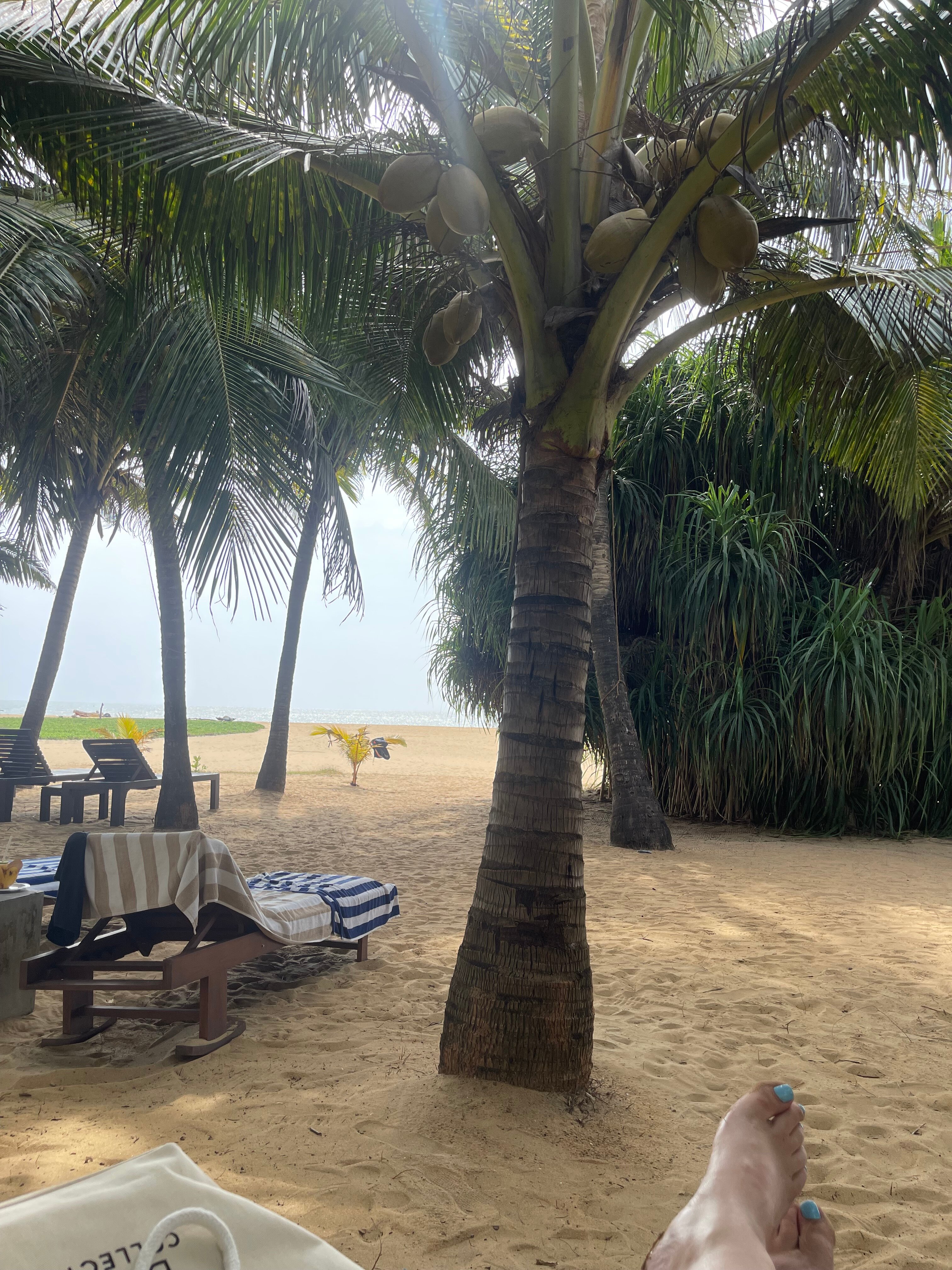 Фото Jetwing Sea