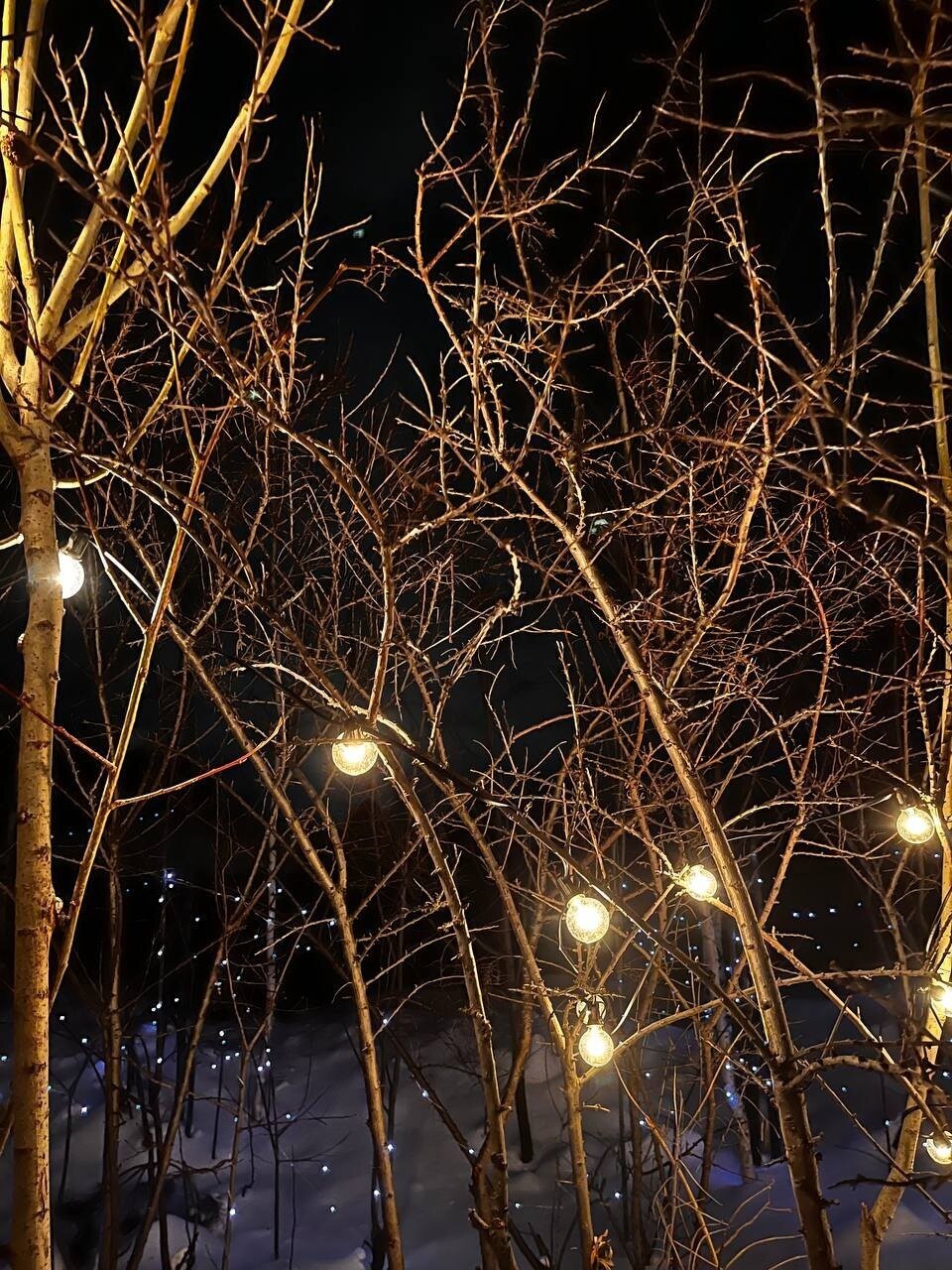 Фото Jacuzzzi house