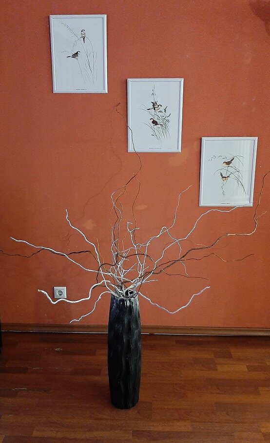 Фото Альберт