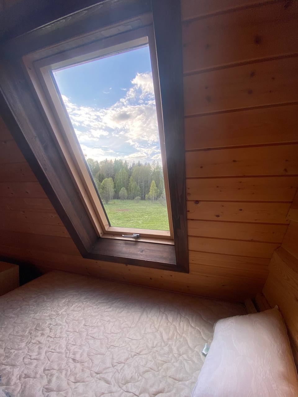 Фото ХоллиЛэнд 