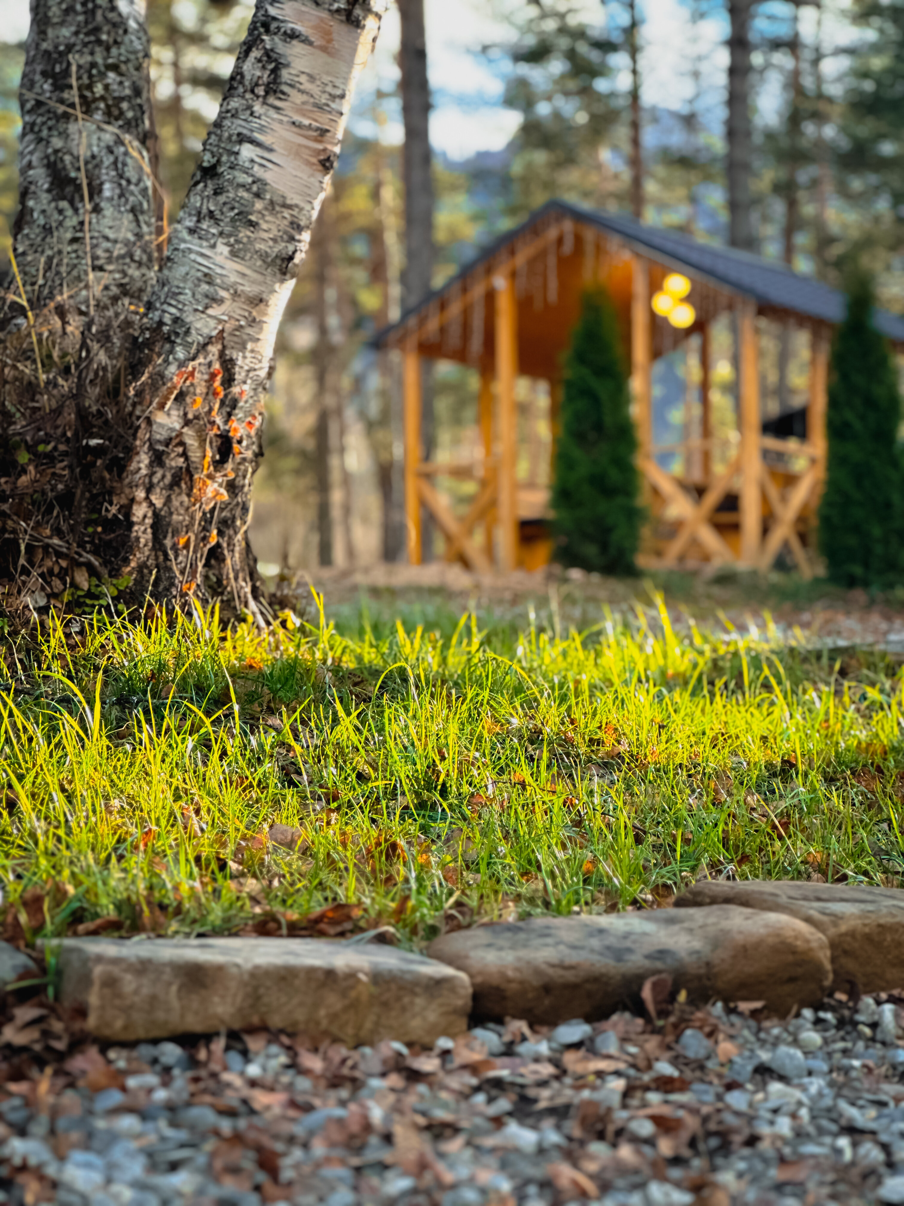 Фото Шале Хвоя
