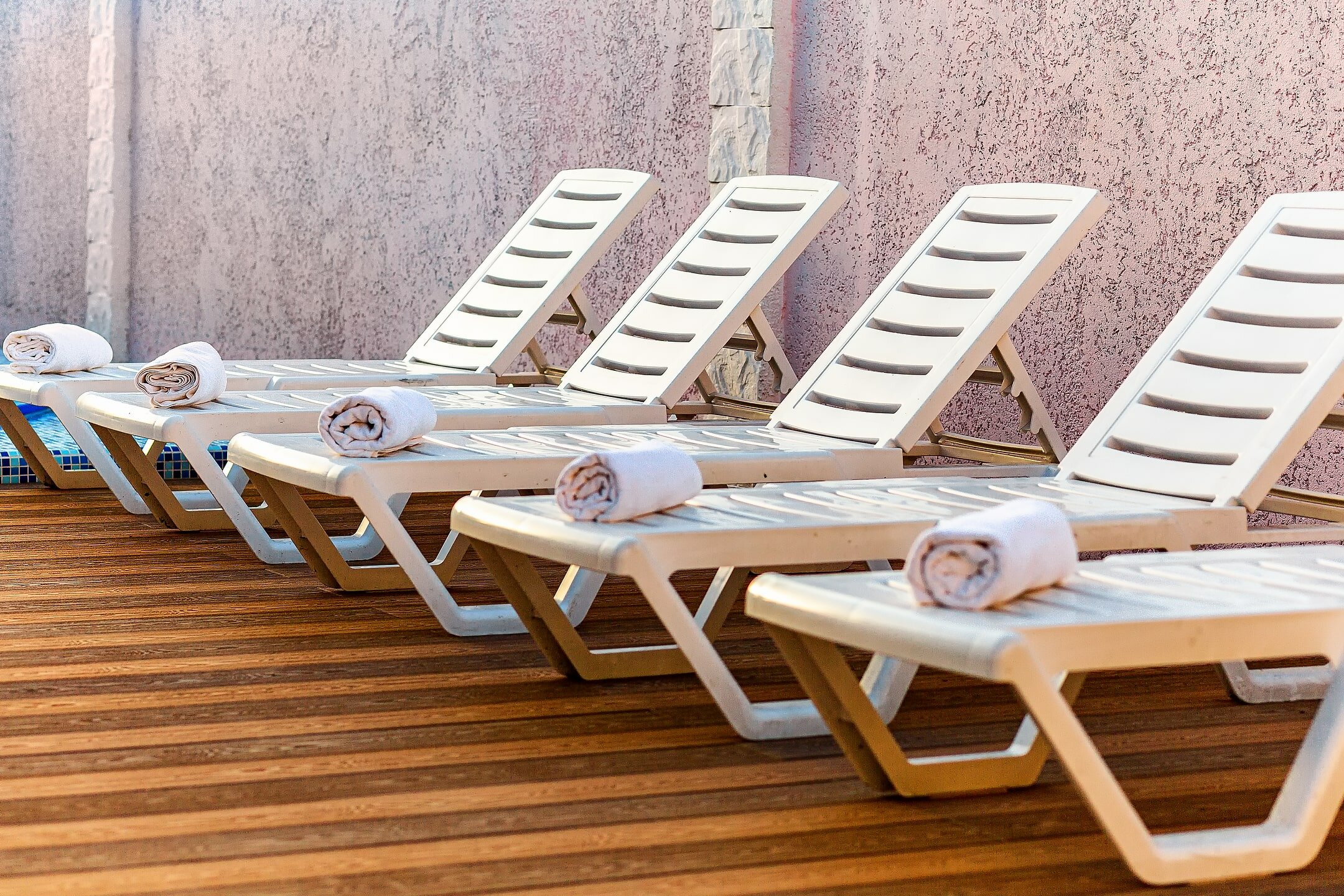 Фото Платан