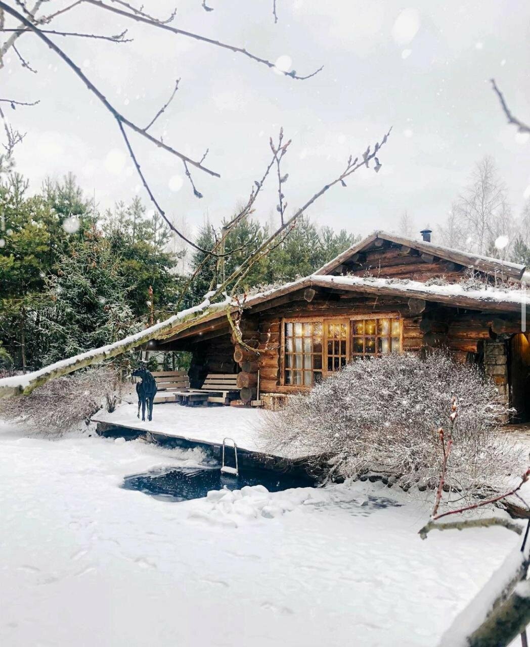 Фото Таежный