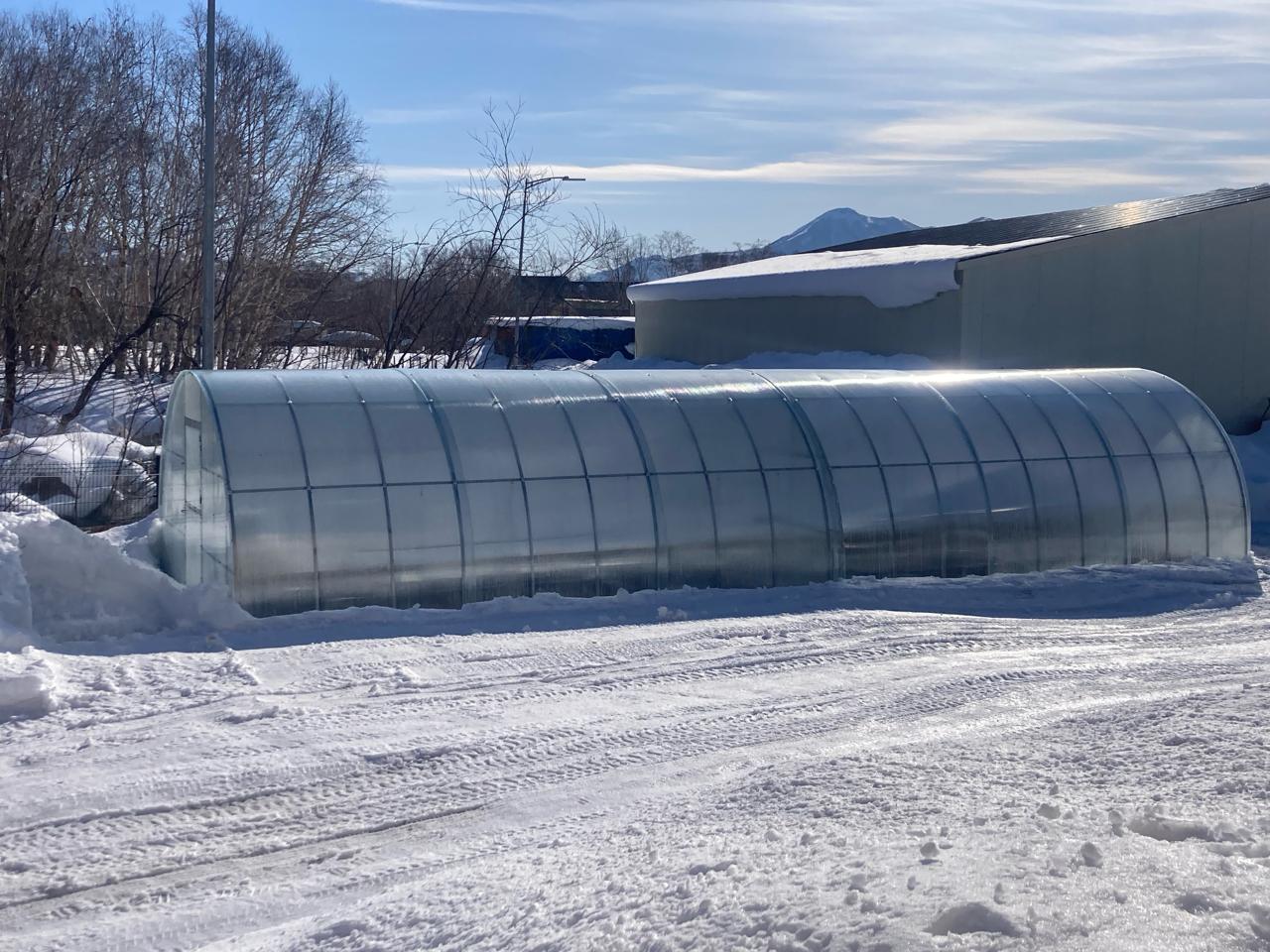 Фото Лесная поляна