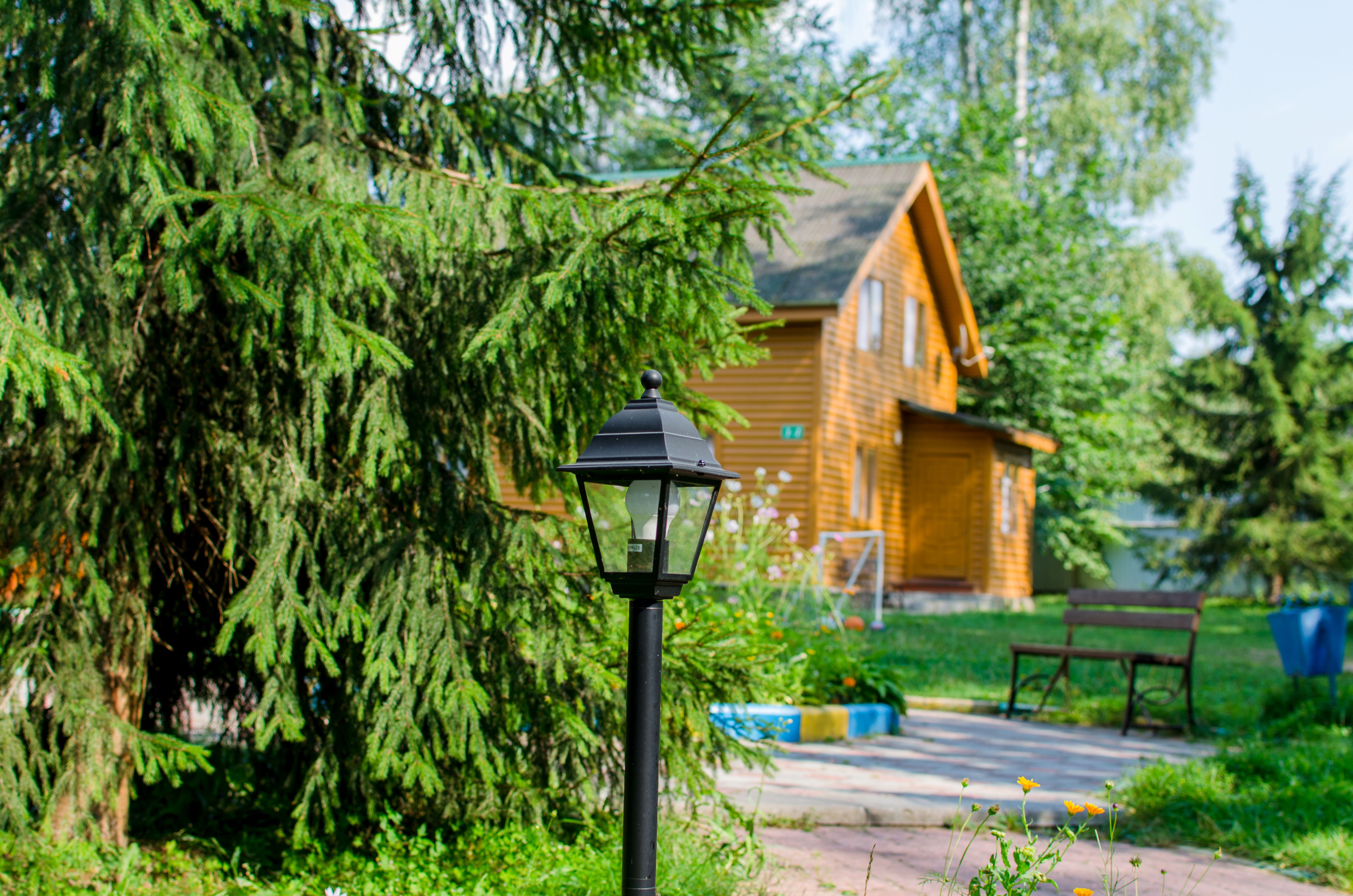 Фото Берёзовая роща