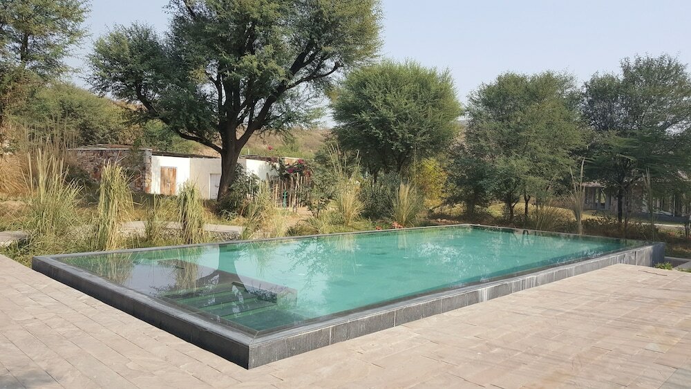 Фото Trees & Tigers