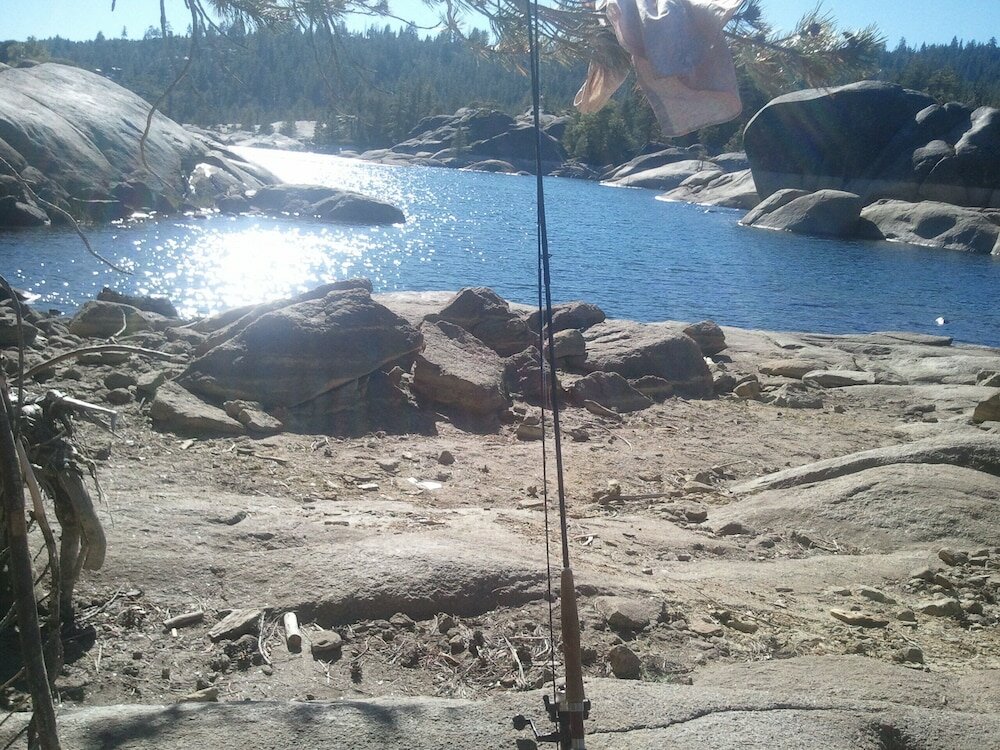 Фото The Davies Family Inn