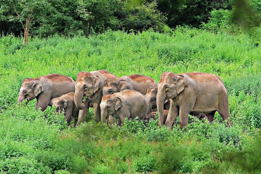 Фото Maleesa Place Hua Hin